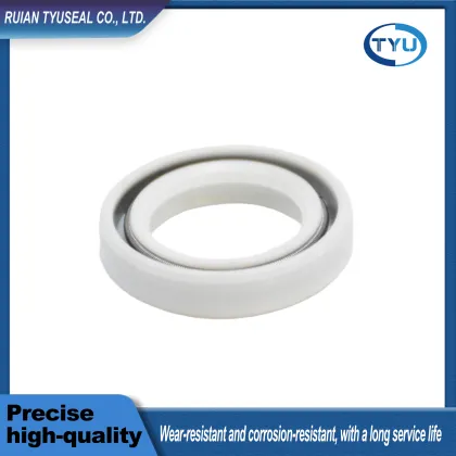 Durable TC Type Oil Seal Made from Silicone