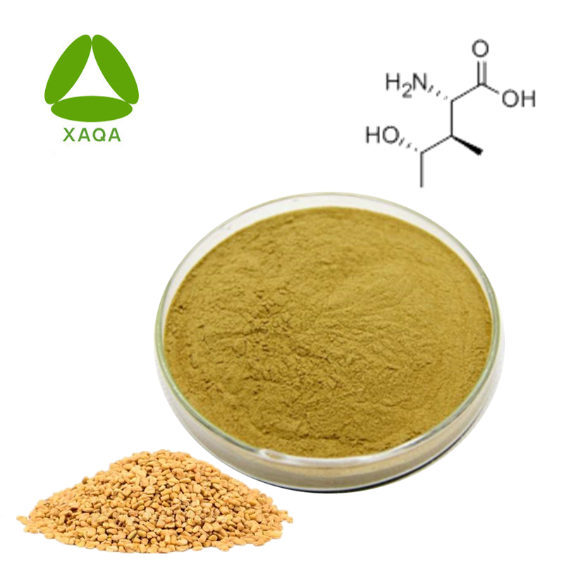 Extracto de semilla de fenogreco 4-hidroxiisoleucina 1% en polvo