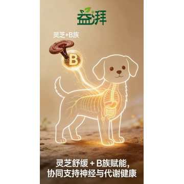 Μαζική Χονδρική Βιταμίνη Β1 με Έγχυση Βοτάνων για Κατοικίδια