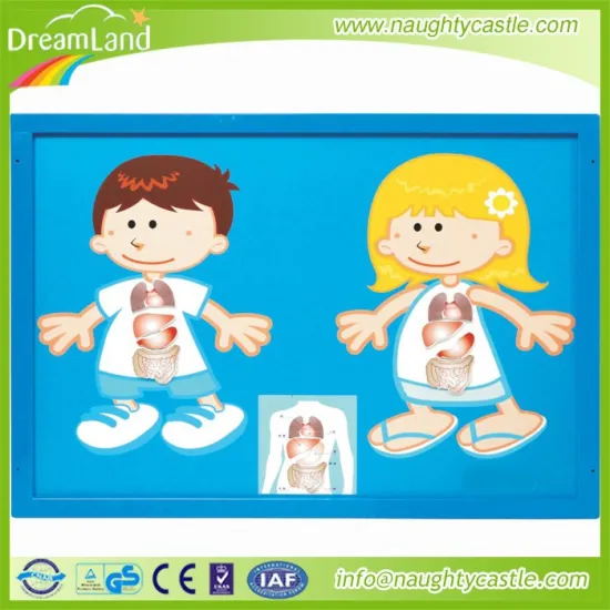 2015 eductaional toys / import toys directly from china