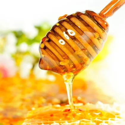 bulk pure rape flower honey on sale