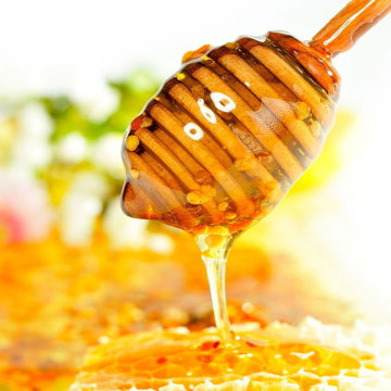 natural and pure orgnaic vitex honey