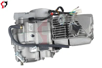 DAYTONA 190 and ANIMA 150CC Motorcycles: FDX FLX Series