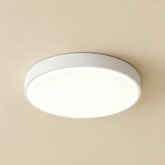 Modern LED Ceiling Light for Living Room