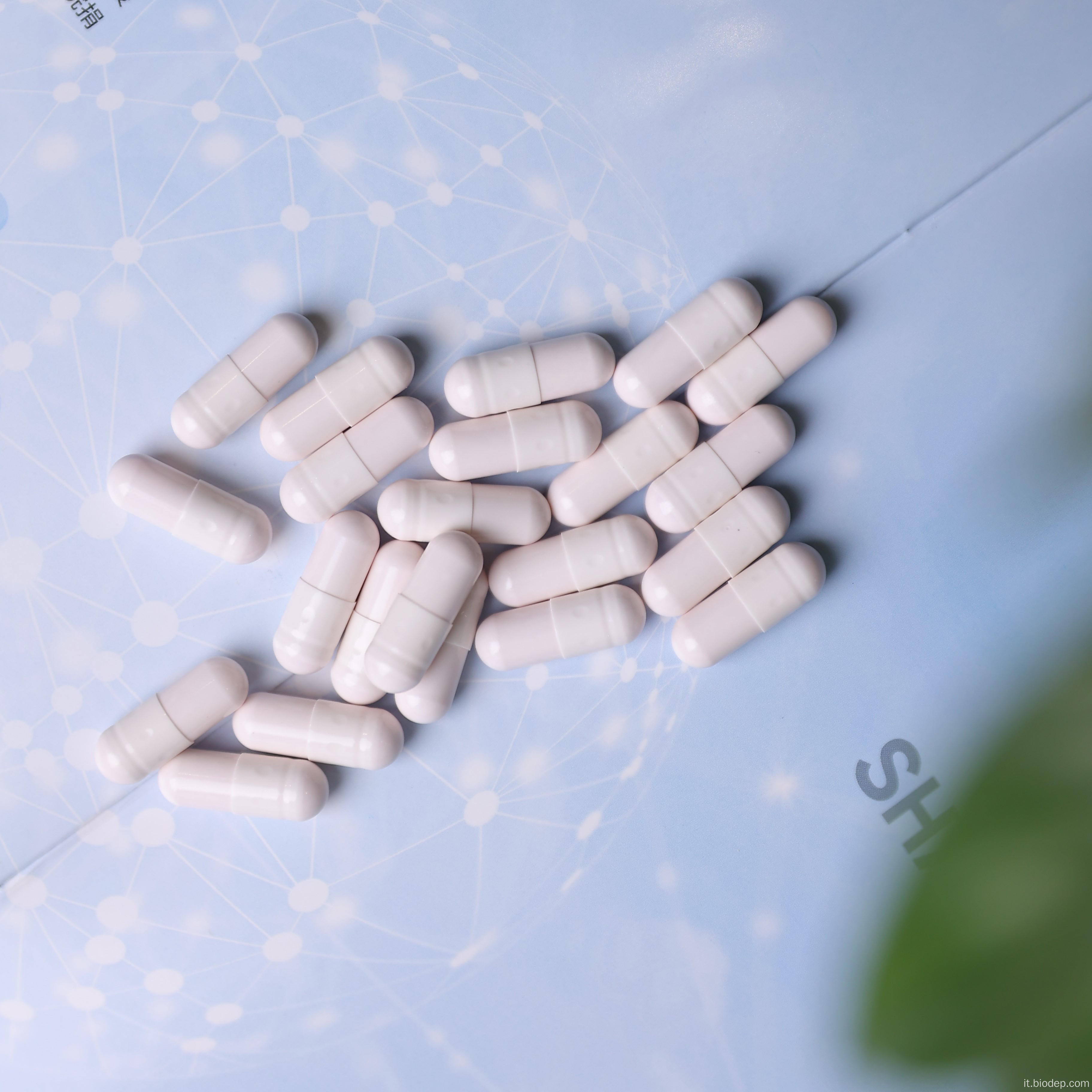 Supplemento efficace per la vagina Health L. Crispatus