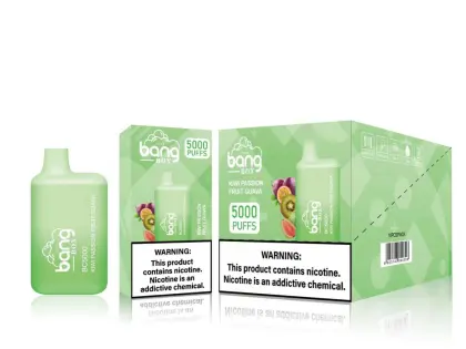 Bang BC 5000PUFFS Wholesale Disposable Vape