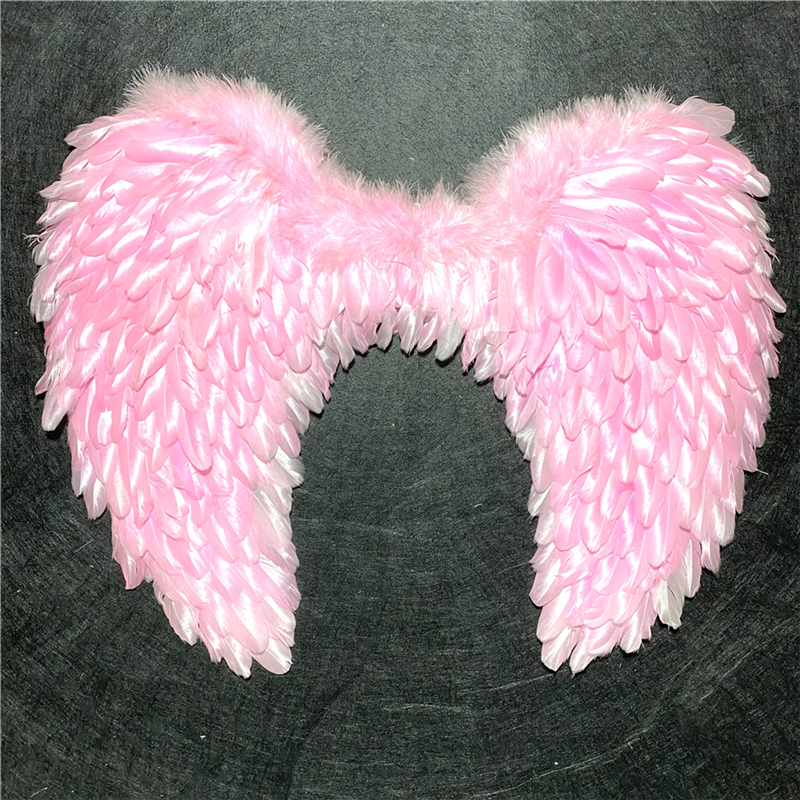 Pink feather wing