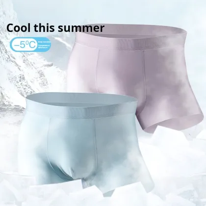 ALLBLUE Seamless Thin Ice Silk Briefs - Cool OEM & ODM Men's Sexy Underwear