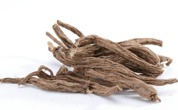 Dipsaci Radix teasel root Dipsacus asperoides Xuduan