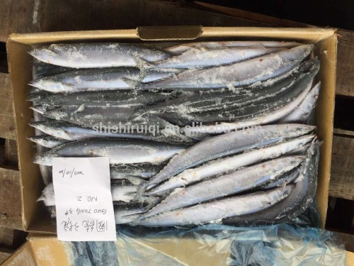 New Coming Frozen Pacific Saury