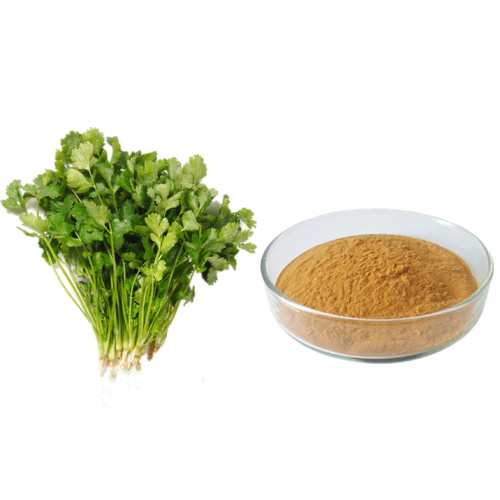 Coriander Extract Powder Sale