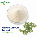 Sustainable Kluyveromyces Rennet in Plant-Based Formulations