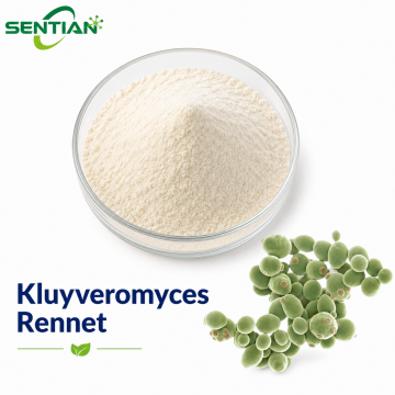 Sustainable Kluyveromyces Rennet in Plant-Based Formulations