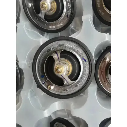 Good Quality Smart Temperature Controller Thermostat 255002B000