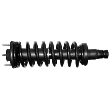 QYT 171341 Front Complete Strut Shock Absorber & Coil Spring Assembly for Buick Rainier