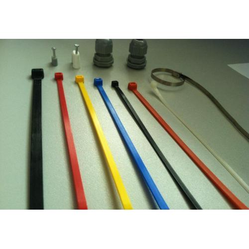 Black Plastic Cable Tie Line Cable Ties Mold
