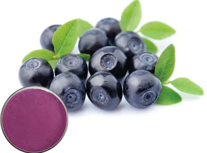 100% Pure Wild Organic Blueberry Powder