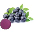Blueberry Extract Powder cGMP Blueberry Fruit Powder