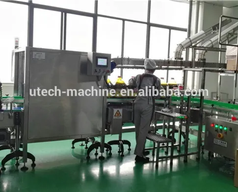 automatic 5L plastic bottle ring lifting insert machine / handle lift ring inserting machine