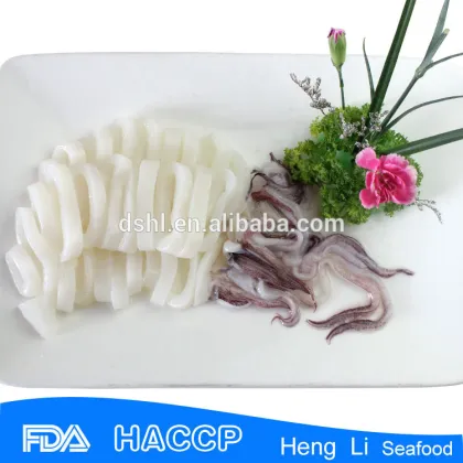 frozen squid , frozen big squid, loligo squid