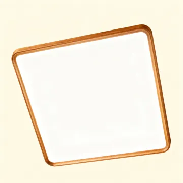 LED Ceiling Light with Soft Warm Light