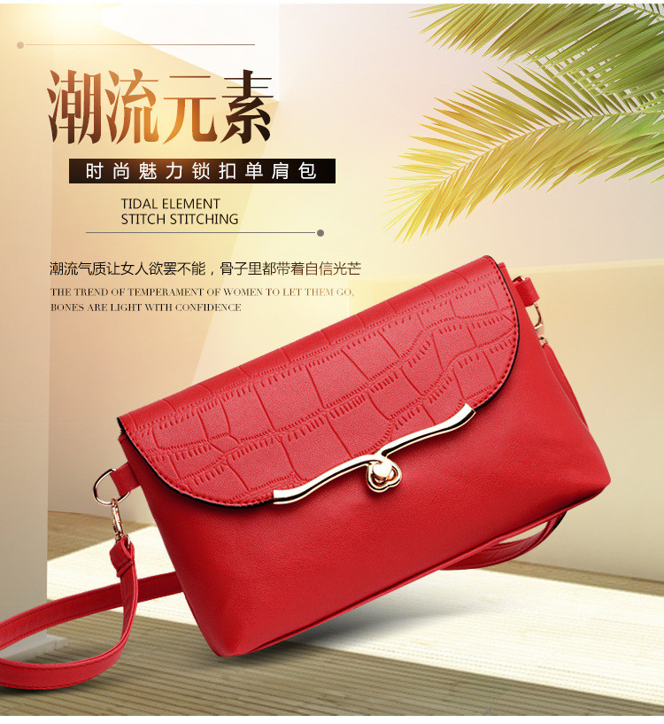 lady hand bags s12022 (2)