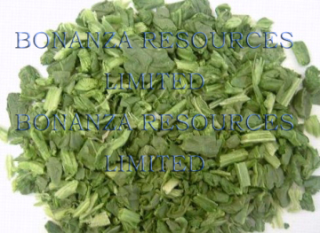 Freeze Dried Spinach Cross Cut