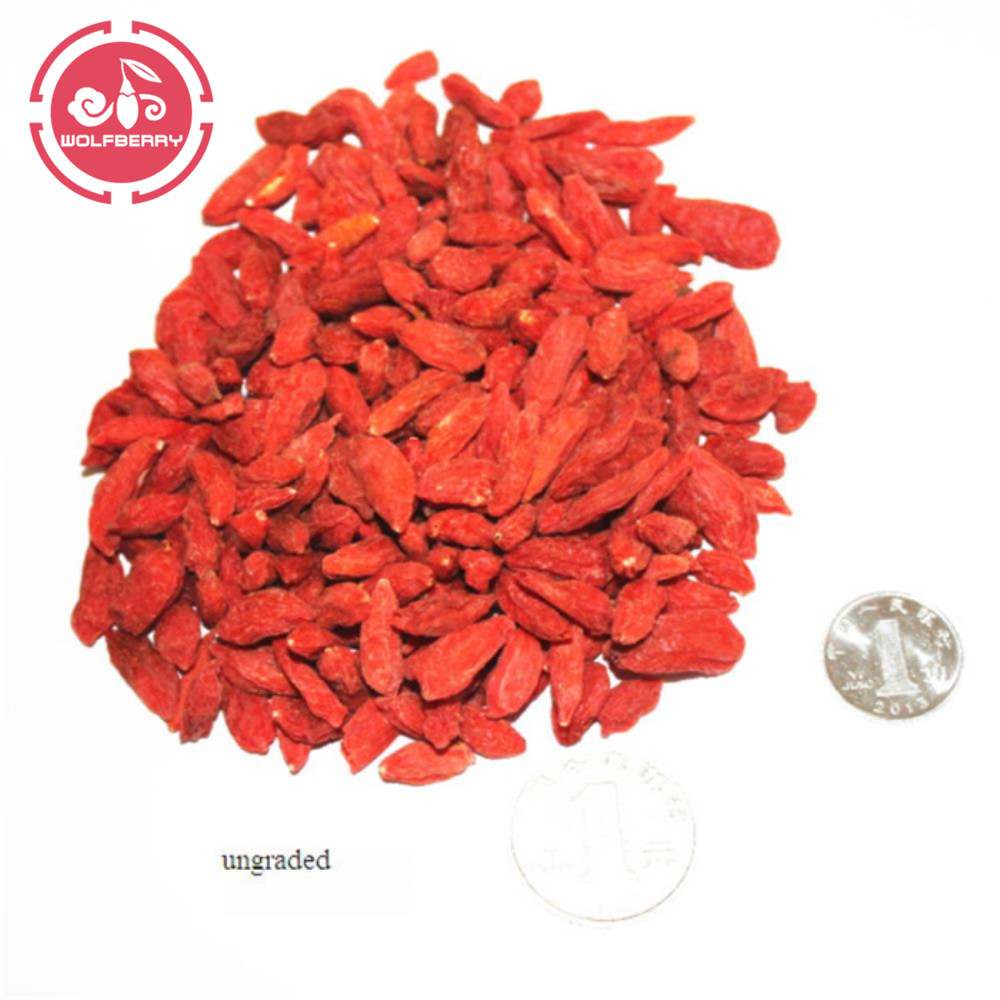 Sem Açúcar Antioxidante Nutricional Goji Berry