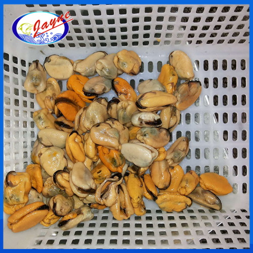 fresh delicious and tasty high quality frozen blue mussel meat from china