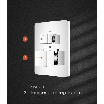 Switch Square Concealed Shower Mixer