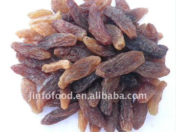sultana raisin