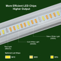 USA zapasów LED rosną światła do szybkiej dostawy