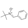 N-TERT-BUTİL-ALFA-PHENİLİNİTRON CAS 3376-24-7