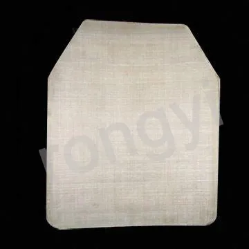 Body Armor Plate