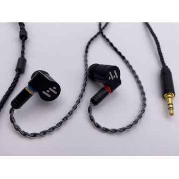 Écouteurs Hi Res IEMs avec câble détachable