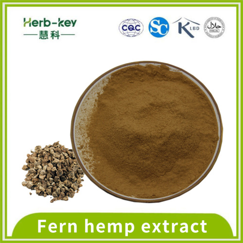 10: 1 Fern Hemp Extract Powder Saponinas