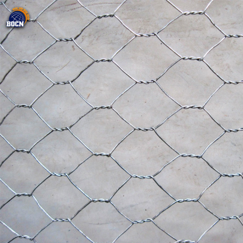 Grillage de 3,0 mm Grillage hexagonal pour poulet