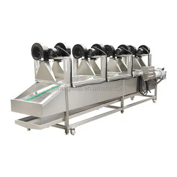 Industrial Fruit and Vegetable Dryer Machine: Tomato, Banana, and More