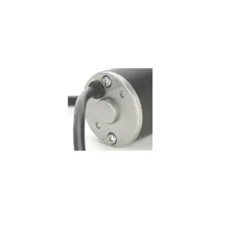 Custom 38mm 24V PMDC Motor: Your Search Engine for Precision DC Motors