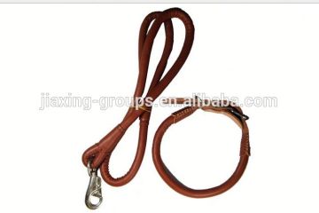HOT SALE custom carabiner dog leash,available in various color,Oem orders are welcome