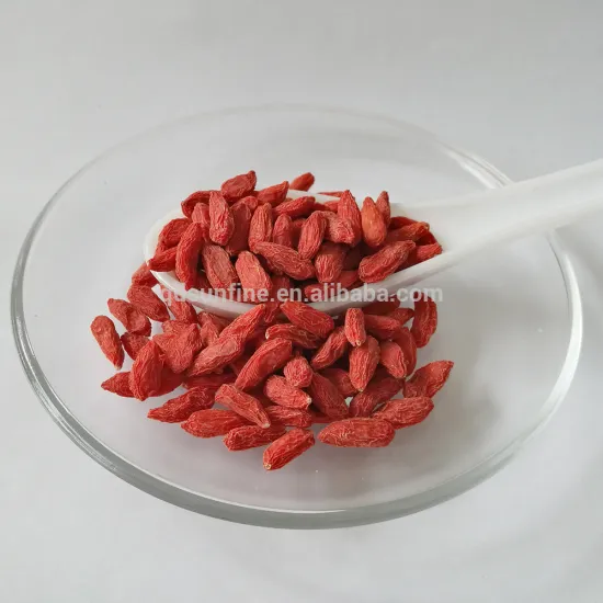 Dried Goji Berry organic