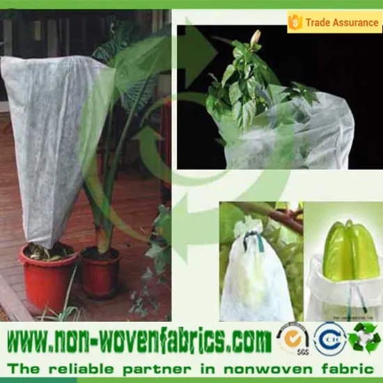 pp Non Woven Fabric for agricuture