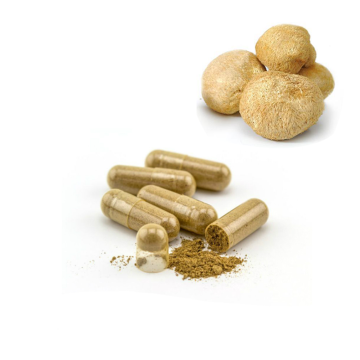 Organic Lion&#39;s Mane Mushroom Extract 30% polysacchariden