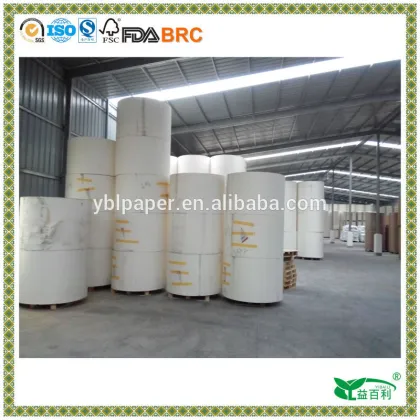 bohui paper 280GSM+15PE paper cups roll
