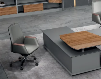 Business Sedentary Boss Office Ergonomic Office Chair