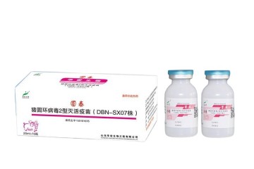 Porcine PCV2 Inactivated Vaccine