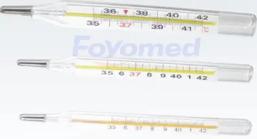 Clinical Thermometers Rectal Use