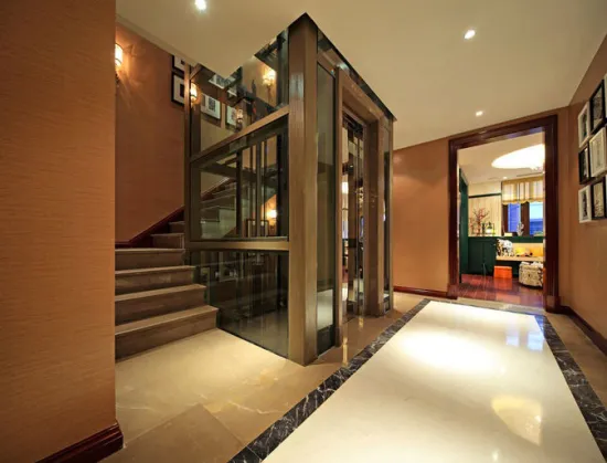 Gearless VVVF Passenger Home Elevator