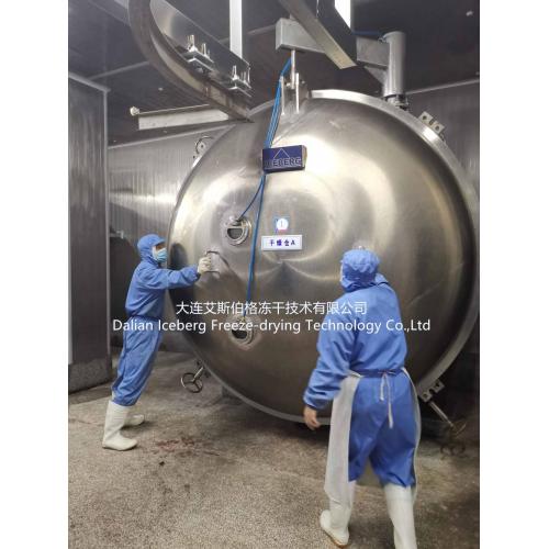 Freeze Drying machine 2XA100