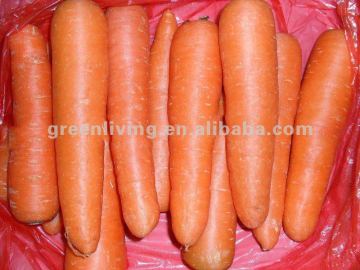 Long-term supply IQF carrot